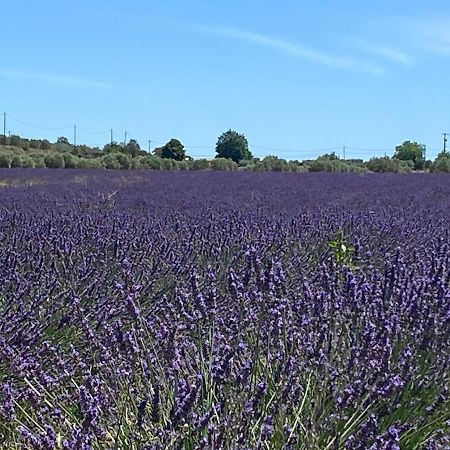 Gite Cocotte Luberon, Forcalquier Pierrerue  Экстерьер фото