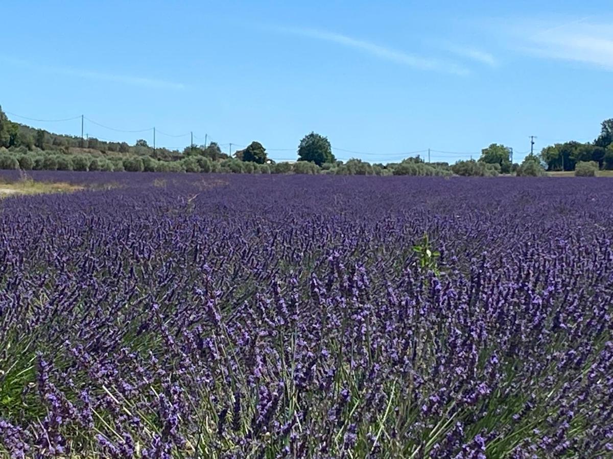 Gite Cocotte Luberon, Forcalquier Pierrerue  Экстерьер фото