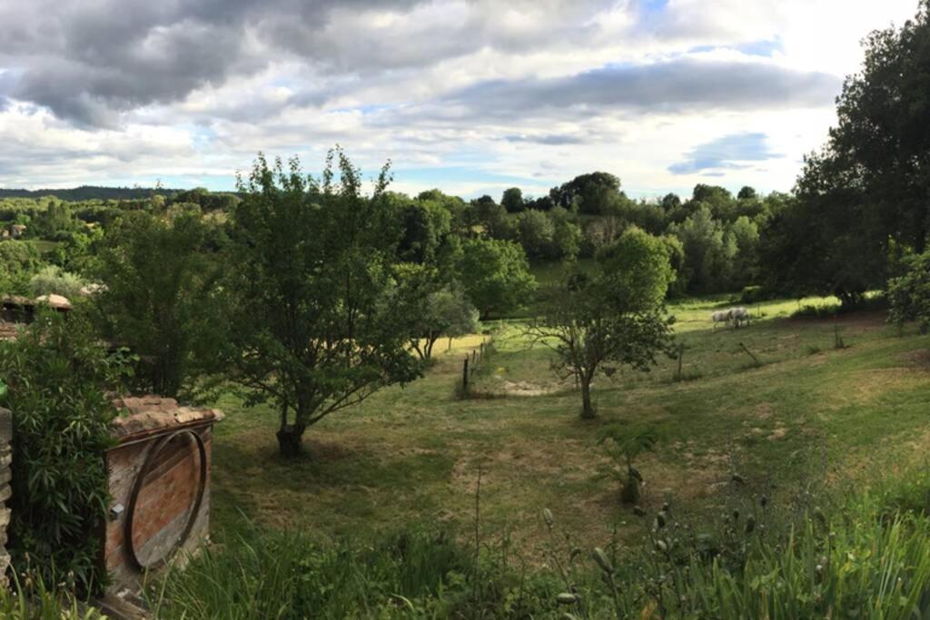 Gite Cocotte Luberon, Forcalquier Pierrerue  Экстерьер фото